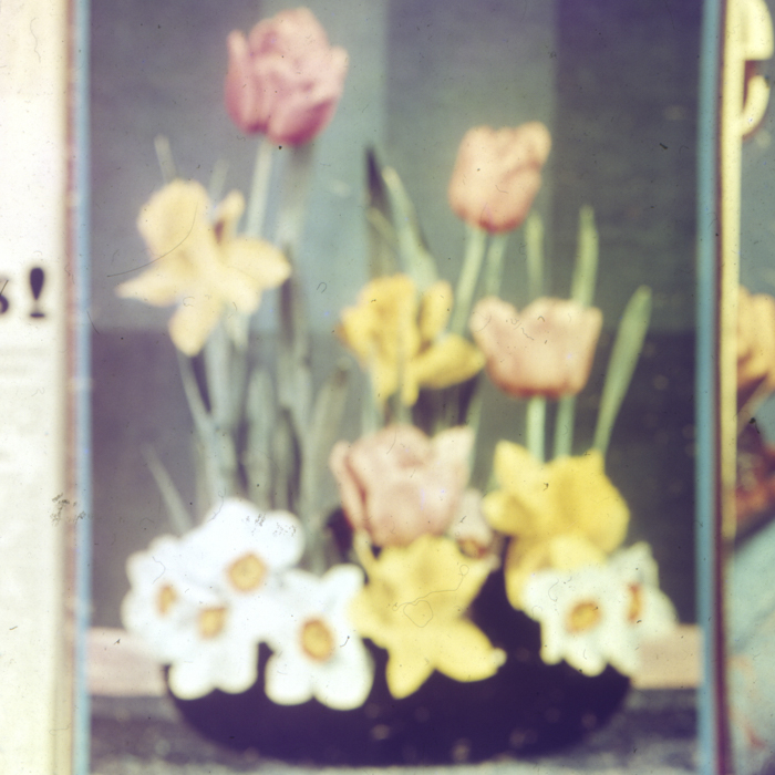 minerva_dn_1968_263_reproduceri_012