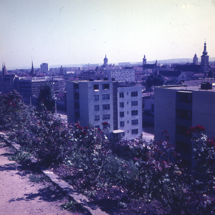 minerva_dn_1968_263_reproduceri_013