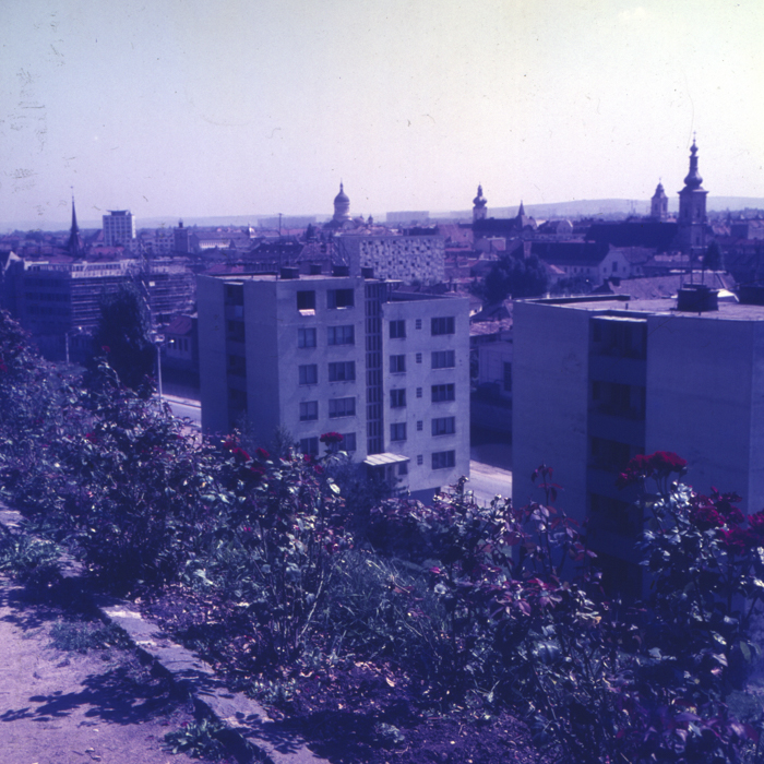 minerva_dn_1968_263_reproduceri_014