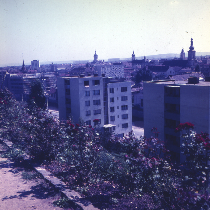 minerva_dn_1968_263_reproduceri_015