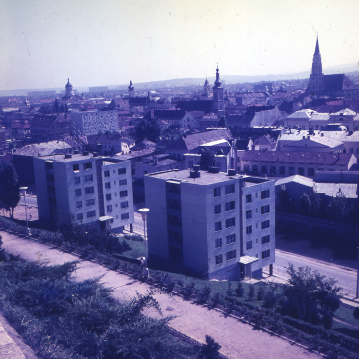 minerva_dn_1968_263_reproduceri_016