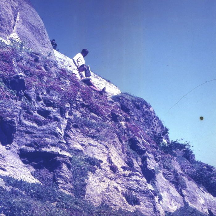 minerva_dn_1968_263_reproduceri_017