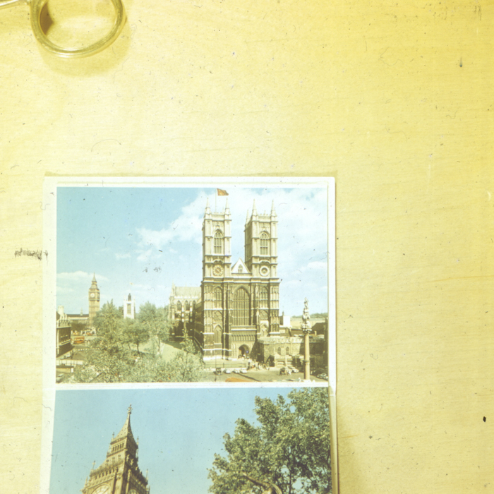 minerva_dn_1968_263_reproduceri_018