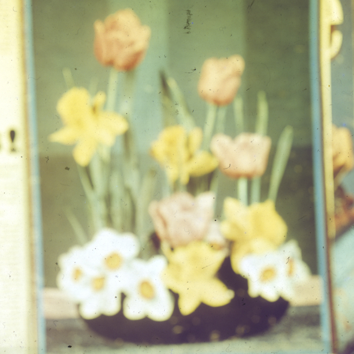 minerva_dn_1968_263_reproduceri_019