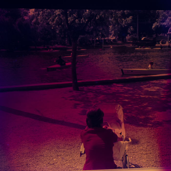 minerva_dn_1968_271_brasov_copil_parc_002