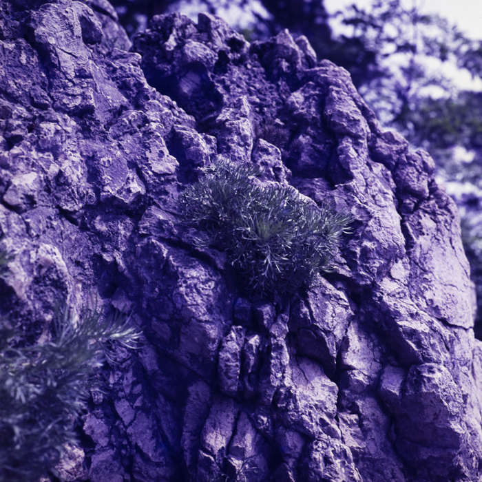 minerva_dn_1968_271_brasov_copil_parc_007