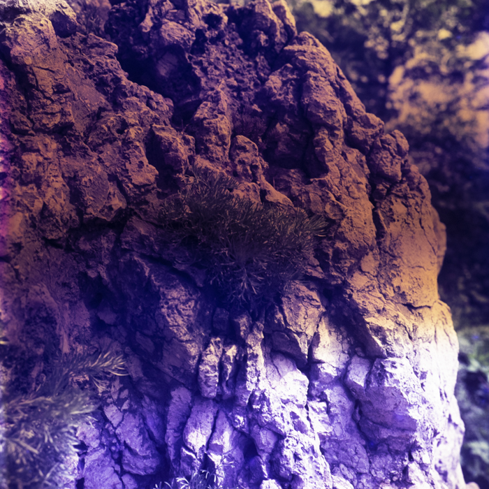 minerva_dn_1968_271_brasov_copil_parc_009