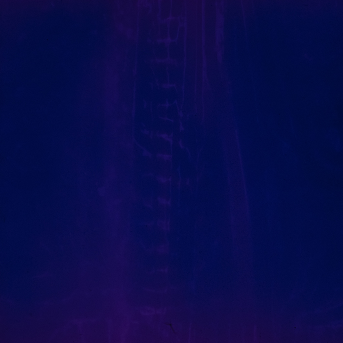 minerva_dn_1969_100_pasztor_012