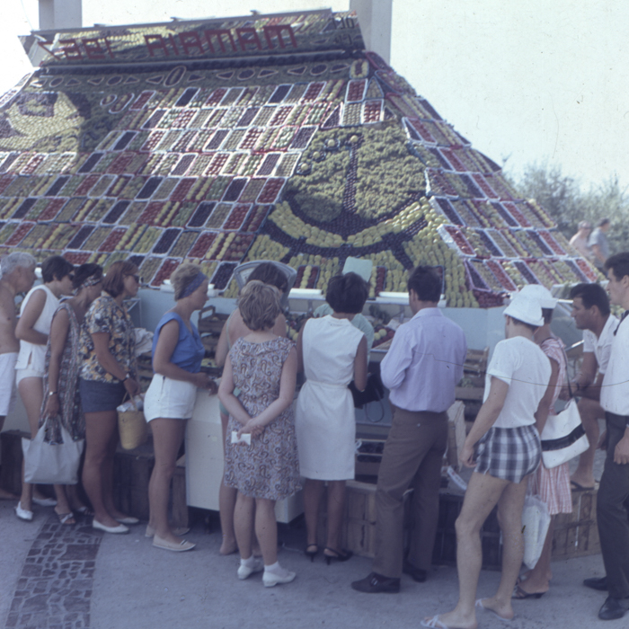 minerva_dn_1969_213_zarzavaturi_001