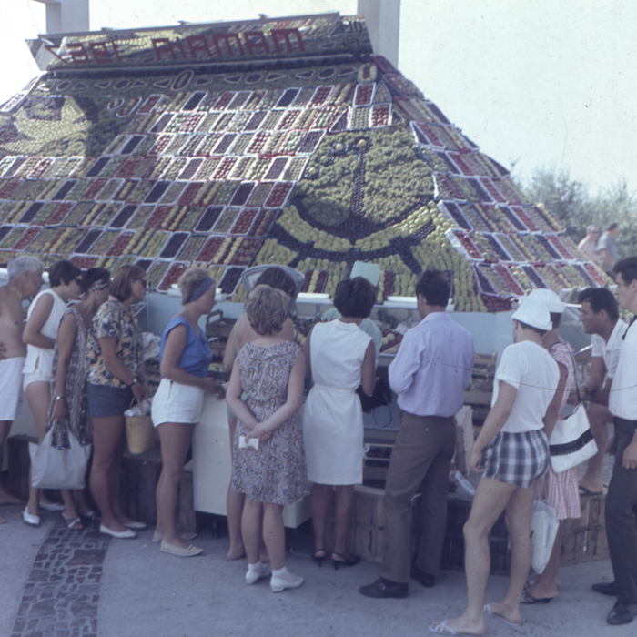 minerva_dn_1969_213_zarzavaturi_002