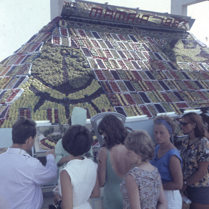 minerva_dn_1969_213_zarzavaturi_003