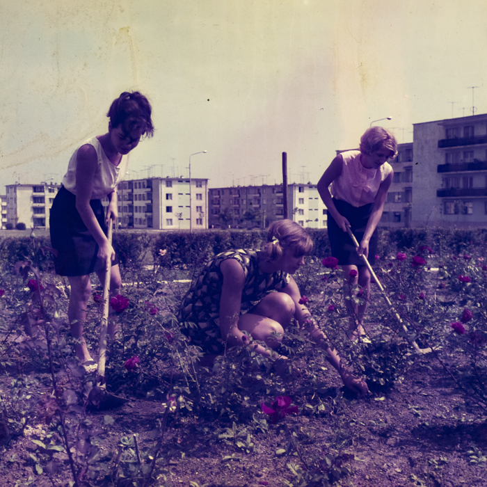 minerva_dn_1969_356_orasul_victoria_006