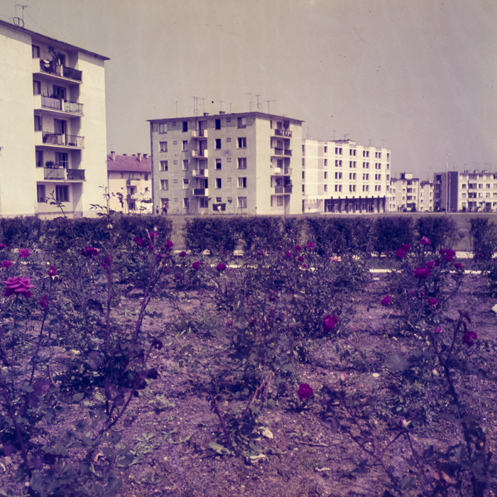 minerva_dn_1969_356_orasul_victoria_007