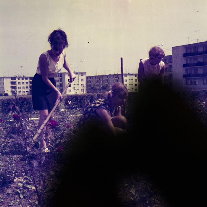 minerva_dn_1969_356_orasul_victoria_008