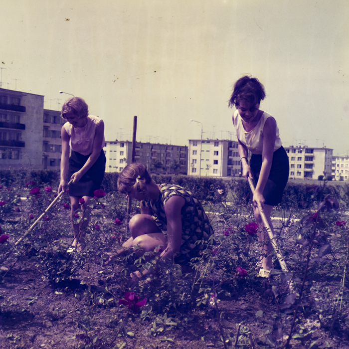 minerva_dn_1969_356_orasul_victoria_009