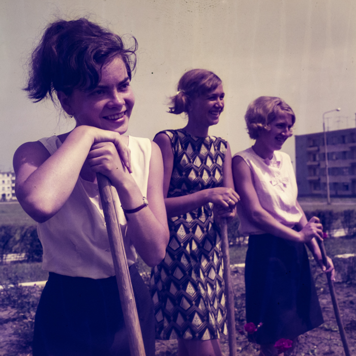 minerva_dn_1969_356_orasul_victoria_010