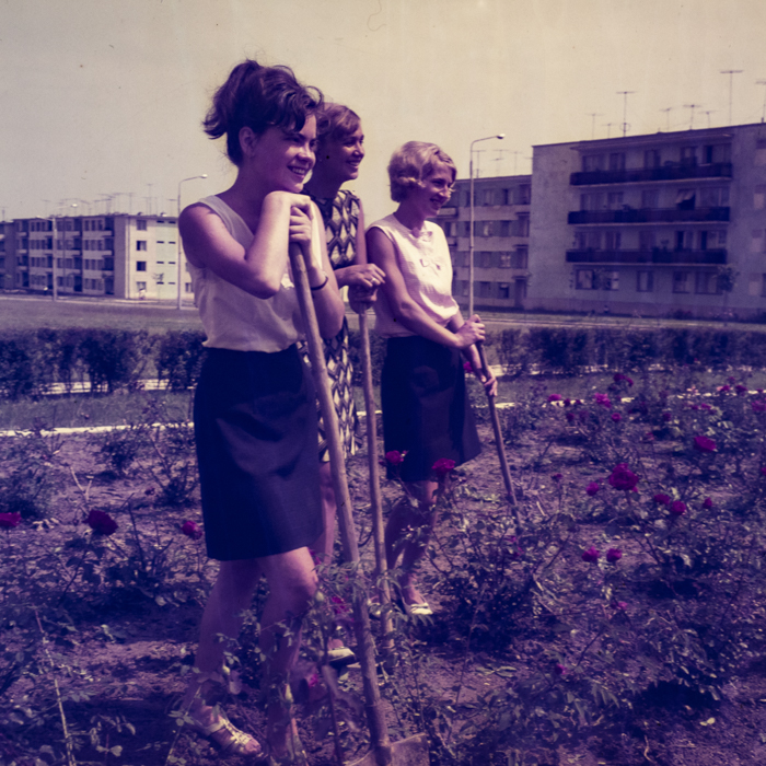 minerva_dn_1969_356_orasul_victoria_013