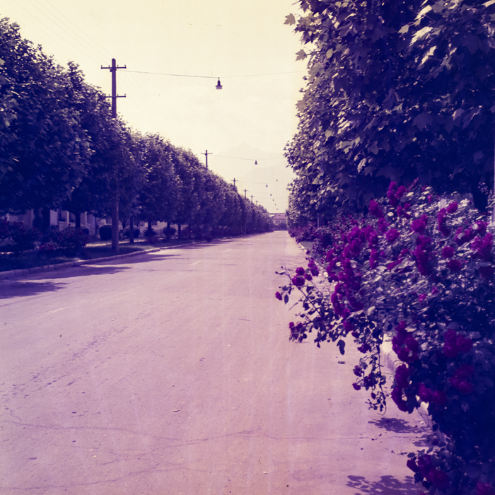 minerva_dn_1969_356_orasul_victoria_019