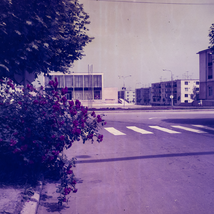 minerva_dn_1969_356_orasul_victoria_020