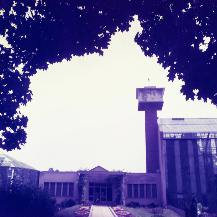 minerva_dn_1969_357_flori_gradina_botanica_cluj_001