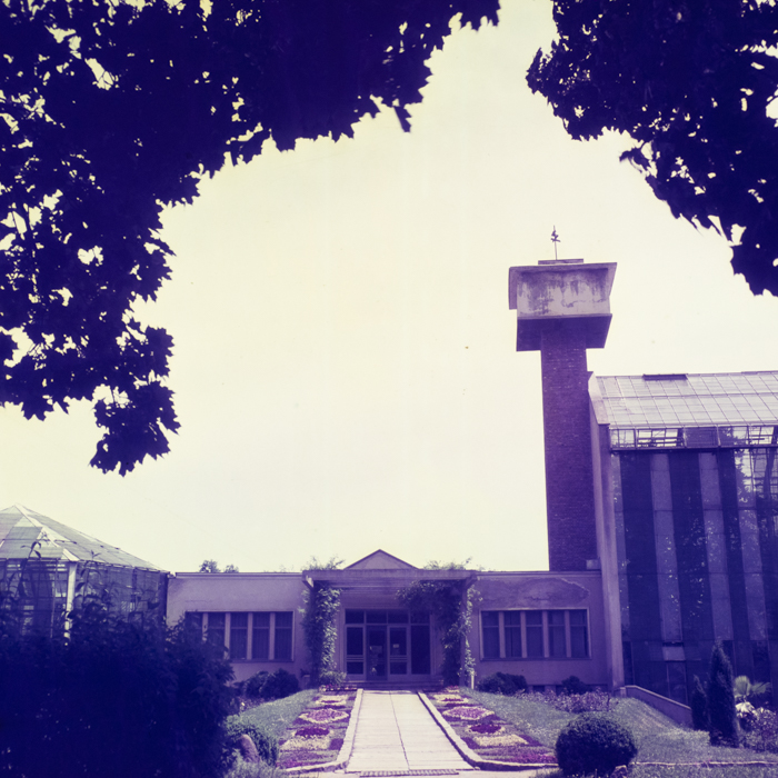 minerva_dn_1969_357_flori_gradina_botanica_cluj_003