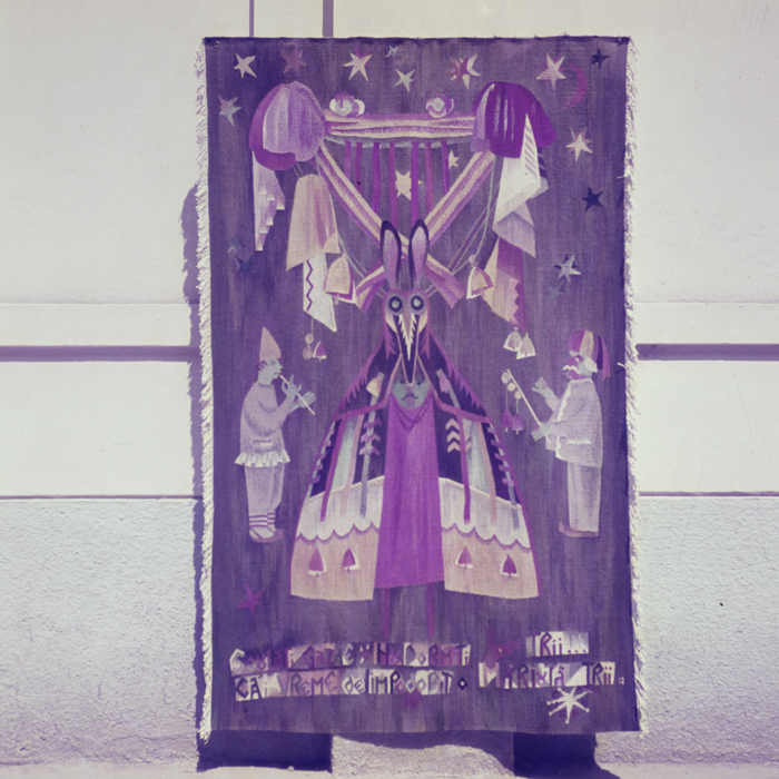 minerva_dn_1969_359_aurel_ciupe_004