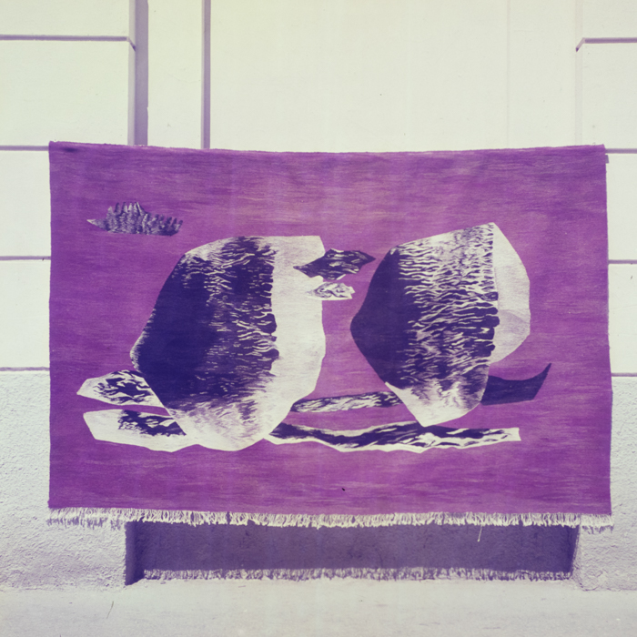 minerva_dn_1969_359_aurel_ciupe_005