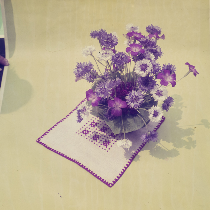 minerva_dn_1969_360_zarzavaturi_fructe_003