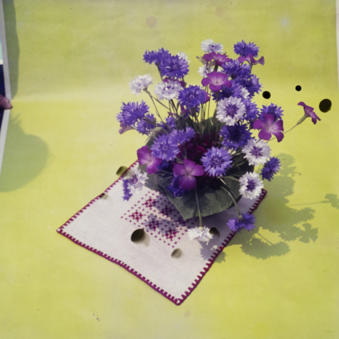 minerva_dn_1969_360_zarzavaturi_fructe_011