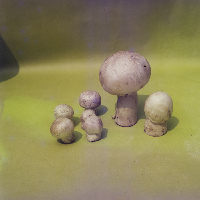 minerva_dn_1969_360_zarzavaturi_fructe_018