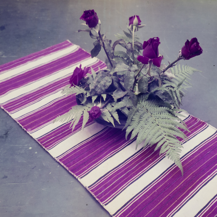 minerva_dn_1969_360_zarzavaturi_fructe_020