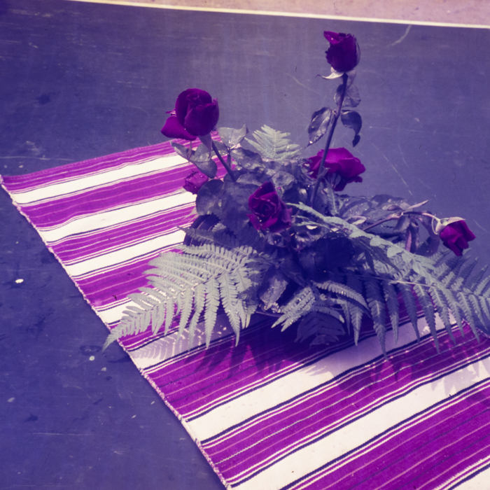 minerva_dn_1969_360_zarzavaturi_fructe_023