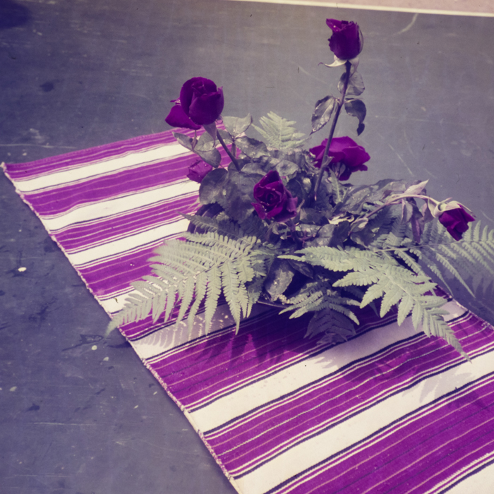 minerva_dn_1969_360_zarzavaturi_fructe_024