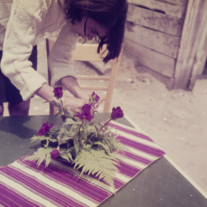 minerva_dn_1969_360_zarzavaturi_fructe_028