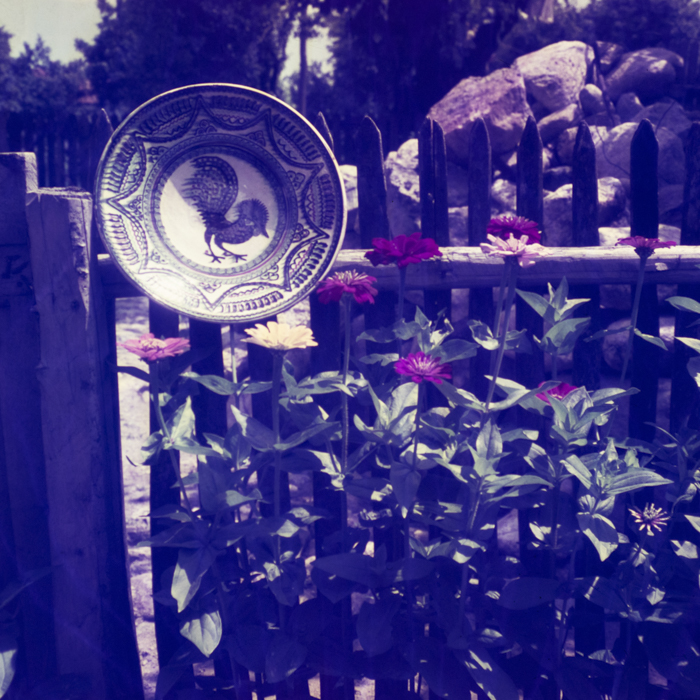 minerva_dn_1969_362_rodica_ogrezeanu_003