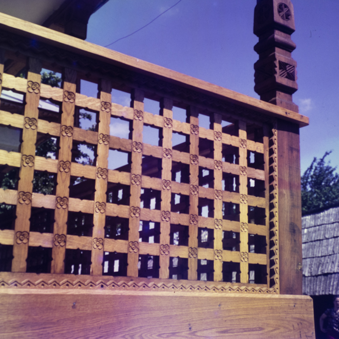 minerva_dn_1969_362_rodica_ogrezeanu_020