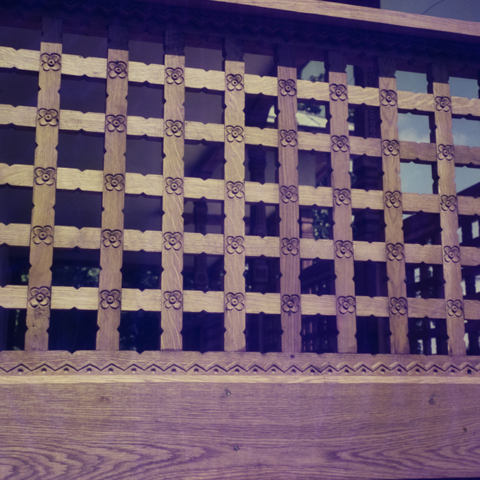 minerva_dn_1969_362_rodica_ogrezeanu_021