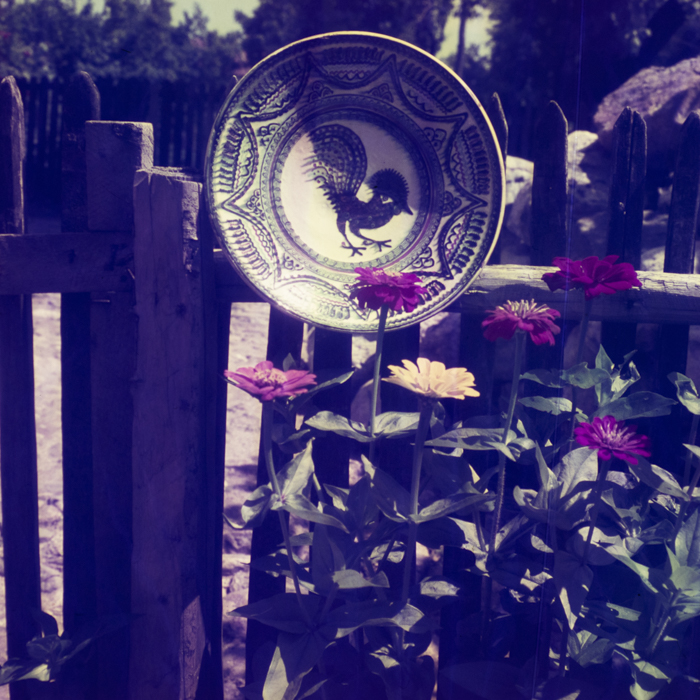 minerva_dn_1969_362_rodica_ogrezeanu_023