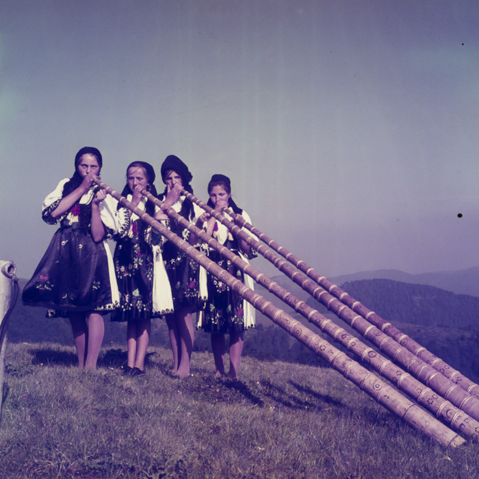 minerva_dn_1969_365_targul_de_la_gaina_001