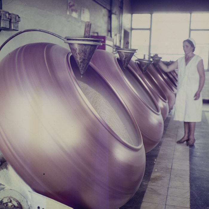 minerva_dn_1969_366_spicul_cluj_001