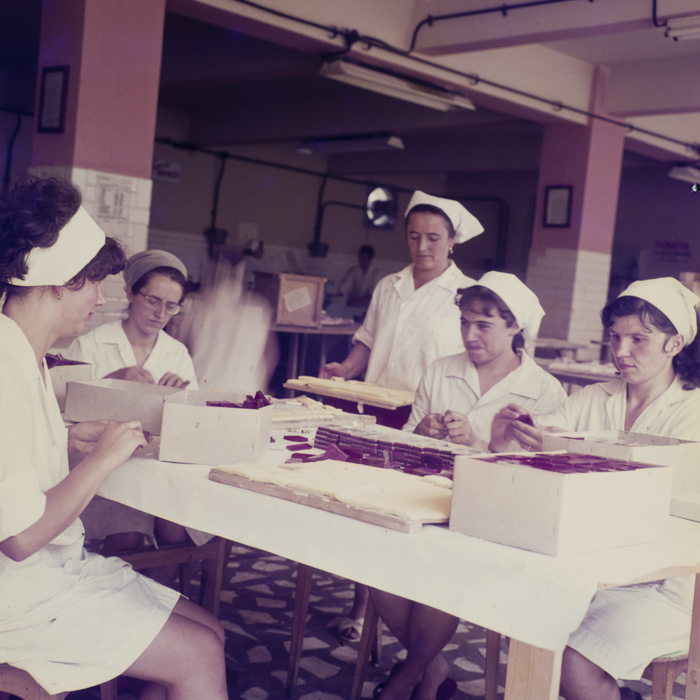 minerva_dn_1969_366_spicul_cluj_002