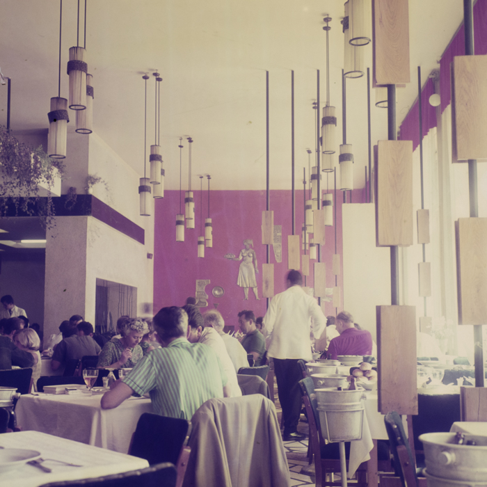 minerva_dn_1969_369_i.a.p.l_cluj_reproduceri_001