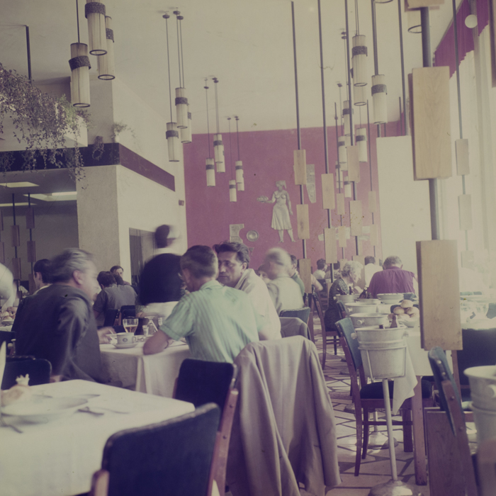 minerva_dn_1969_369_i.a.p.l_cluj_reproduceri_003