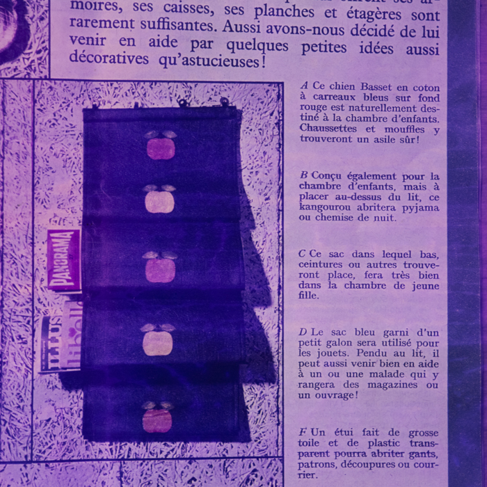 minerva_dn_1969_378_reproduceri_004