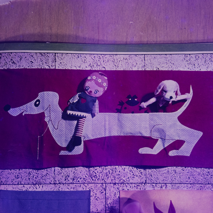 minerva_dn_1969_378_reproduceri_006