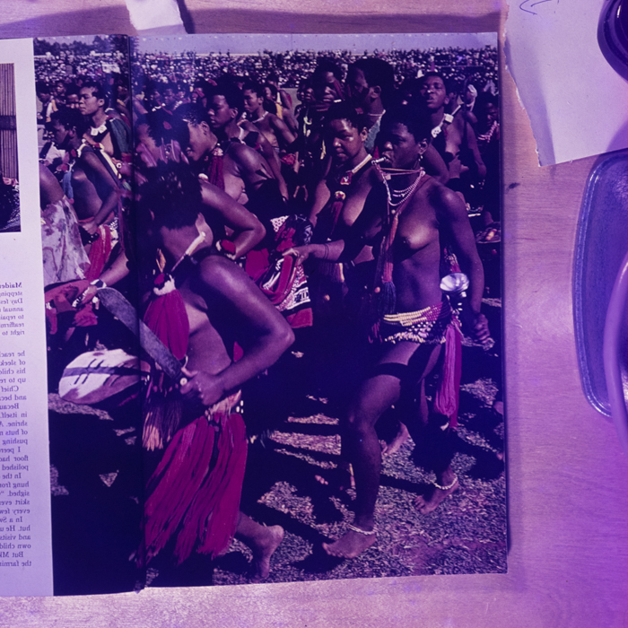 minerva_dn_1969_378_reproduceri_008