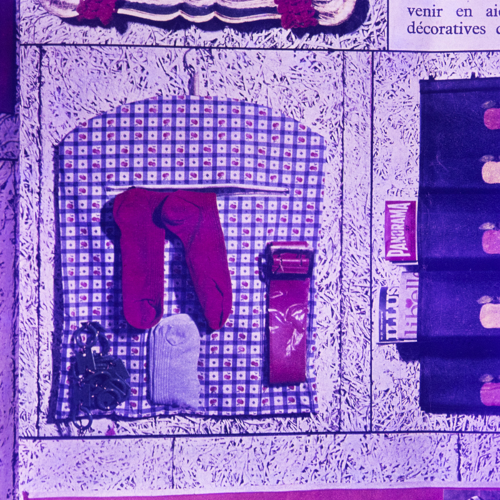 minerva_dn_1969_378_reproduceri_009