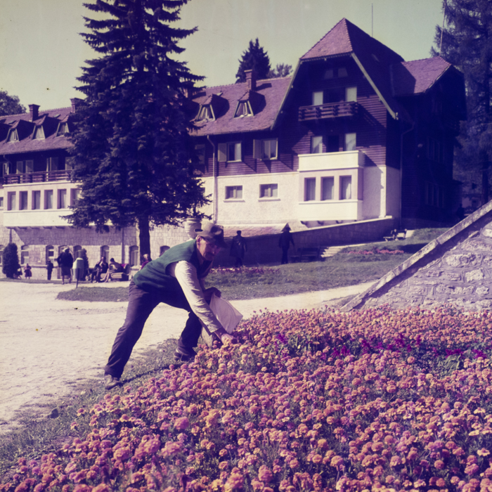 minerva_dn_1969_381_borsec_patka_001