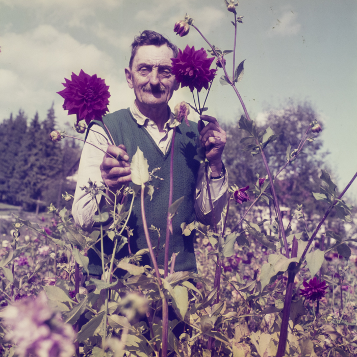 minerva_dn_1969_381_borsec_patka_003