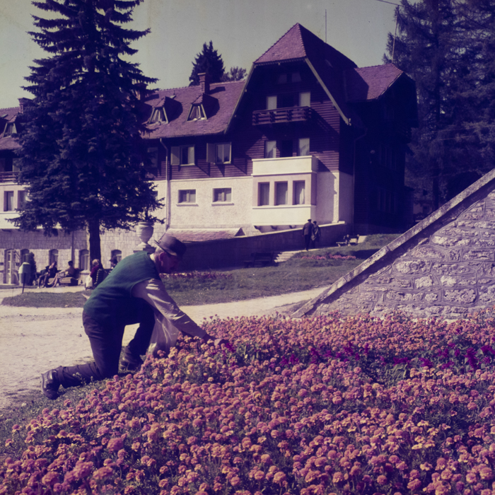 minerva_dn_1969_381_borsec_patka_006